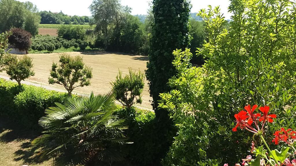 I Boidi Apartment Nizza Monferrato Ngoại thất bức ảnh